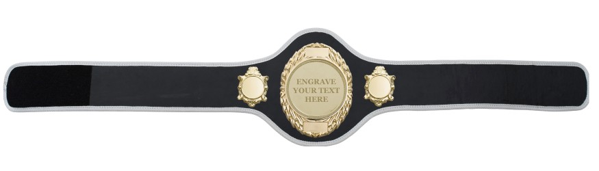 CHAMPIONSHIP BELT PRO286/G/ENGRAVE/G - AVAILABLE IN 10+ COLOURS